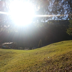 Hundetreffen 2014 im Allgäu (28)